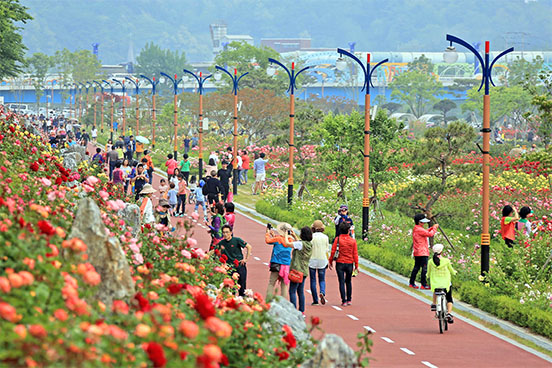 Samcheok Rose Festival