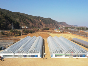 스마트팜 청년농 경영실습임대농장